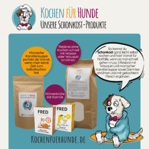 Schonkost Übersicht Produkte