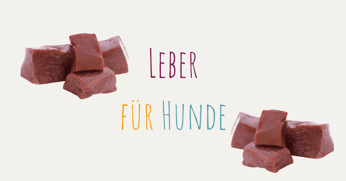 Leber für Hunde Kochen für Hunde