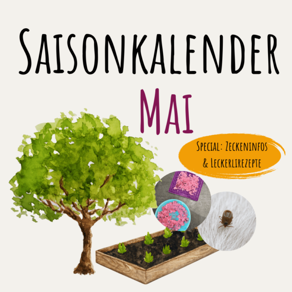 Saisonkalender Mai Gemüse für Hunde & Zeckeninfos