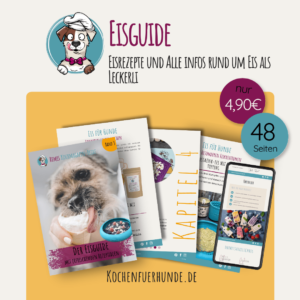 Eis für Hunde - Hundeeis Rezepte