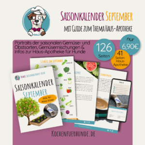 Saisonkalender September für Hunde