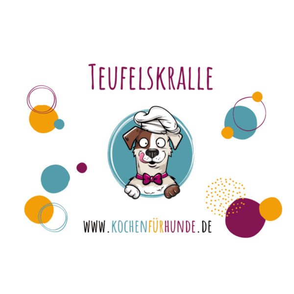 Teufelskralle Hunde
