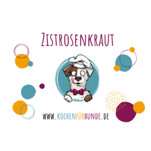 Zistrosenkraut Hunde
