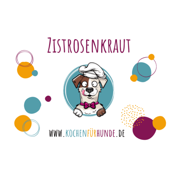 Zistrosenkraut Hunde