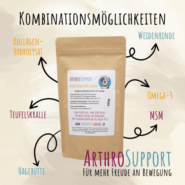 Arthrose Hund Kombinationsmöglichkeiten