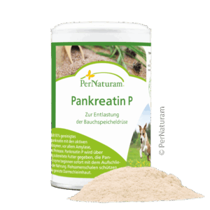 Pankreatin P Kochen fuer Hunde