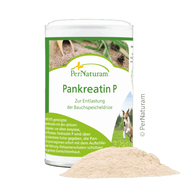 Pankreatin P Kochen fuer Hunde