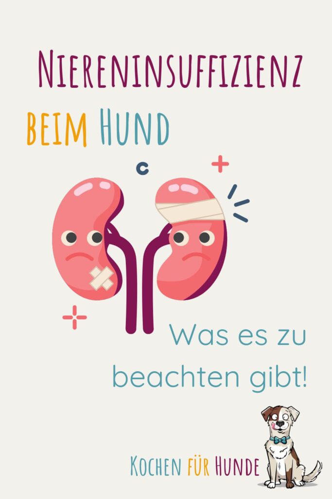 Niereninsuffizienz beim Hund