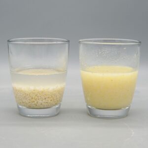 Unterschied Hirseflocken und Hirsebrei Instant Hirseflocken