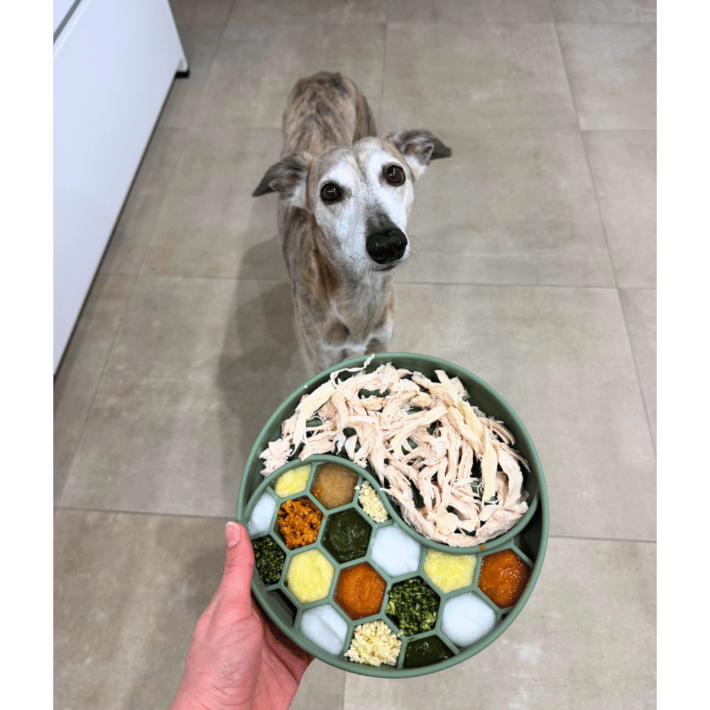 Antischlingnapf Wave – Bild 9