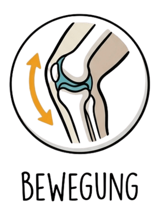 Bewegungsapparat Hund Produkte und Zusätze