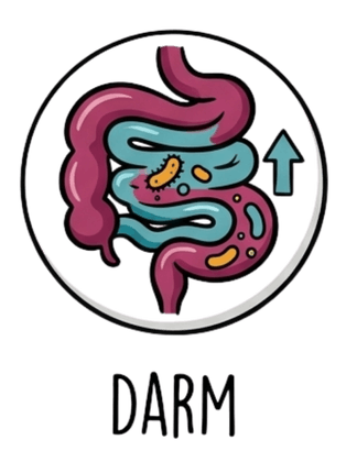 Darm Hund Produkte und Zusätze