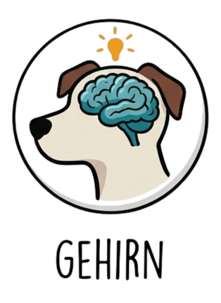 Gehirn Hund Produkte und Zusätze