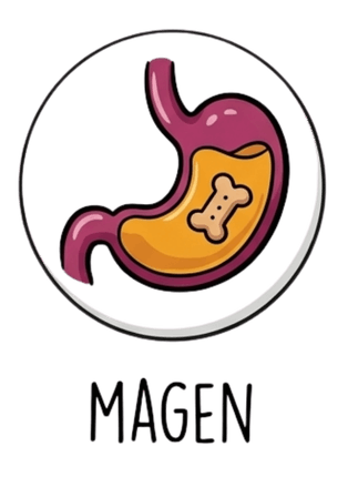 Magen Hund Produkte und Zusätze