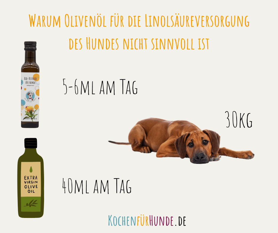 Linolsaeure-Hund-Fell-Haut-Olivenoel