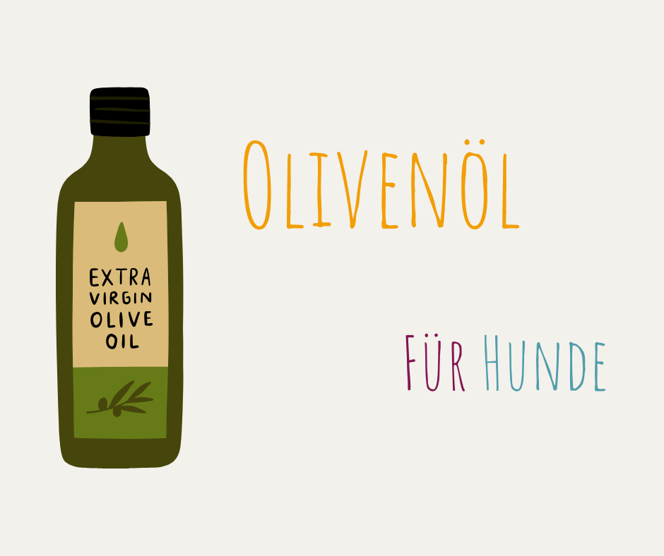 Olivenoel-Hunde-oelsaeure-linolsaeure-fettsaeuren-sinnvoll
