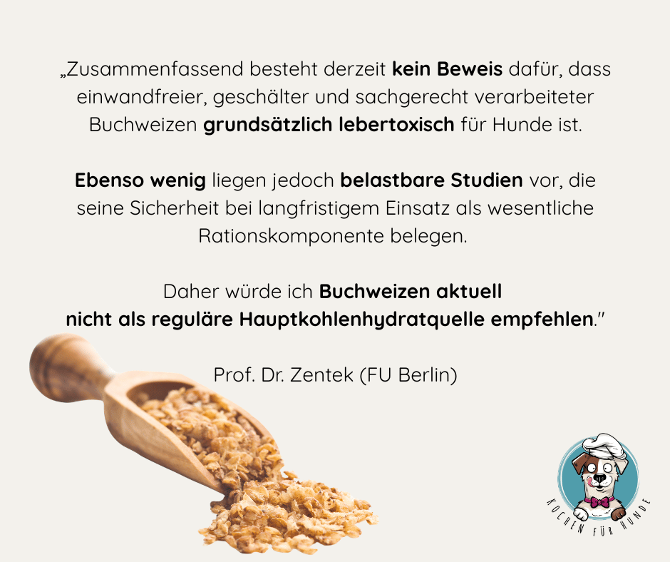 Buchweizen Hunde gesund gefaehrlich Fagopyrin Leber Zentek Fazit