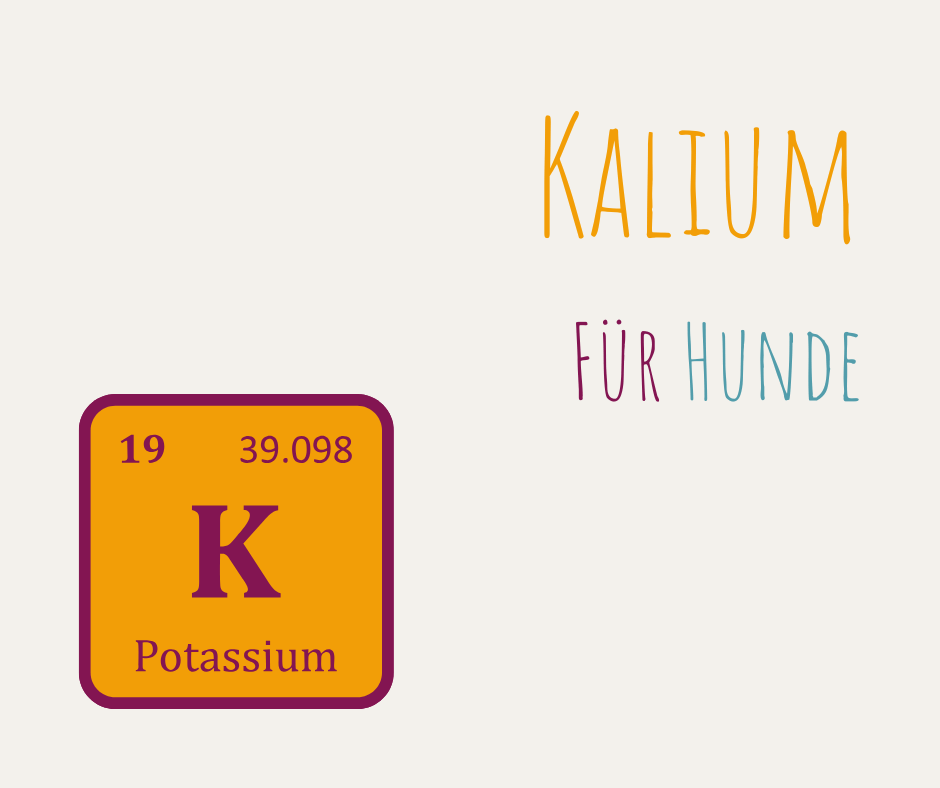 Kalium Hunde Kaliummangel Lebensmittel Kalium Bedarf